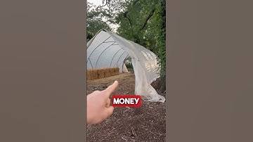 CAN YOU MAKE HOMESTEADING PROFITABLE? #homestead #homesteading #farmstead #gardening #garden