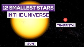 12 Smallest Stars In The Universe!