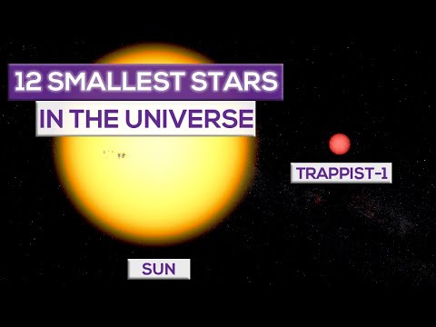 Video: Top 5 cele mai mici stele
