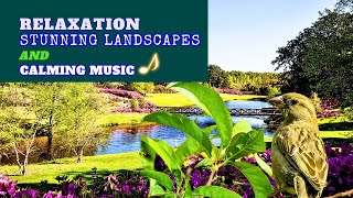 Unlock the Secret to True Relaxation: Stunning Landscapes & Calming Music #relaxingmusic