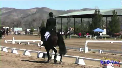 269D Jennette Scanlon Novice Horse Dressage Twin R...