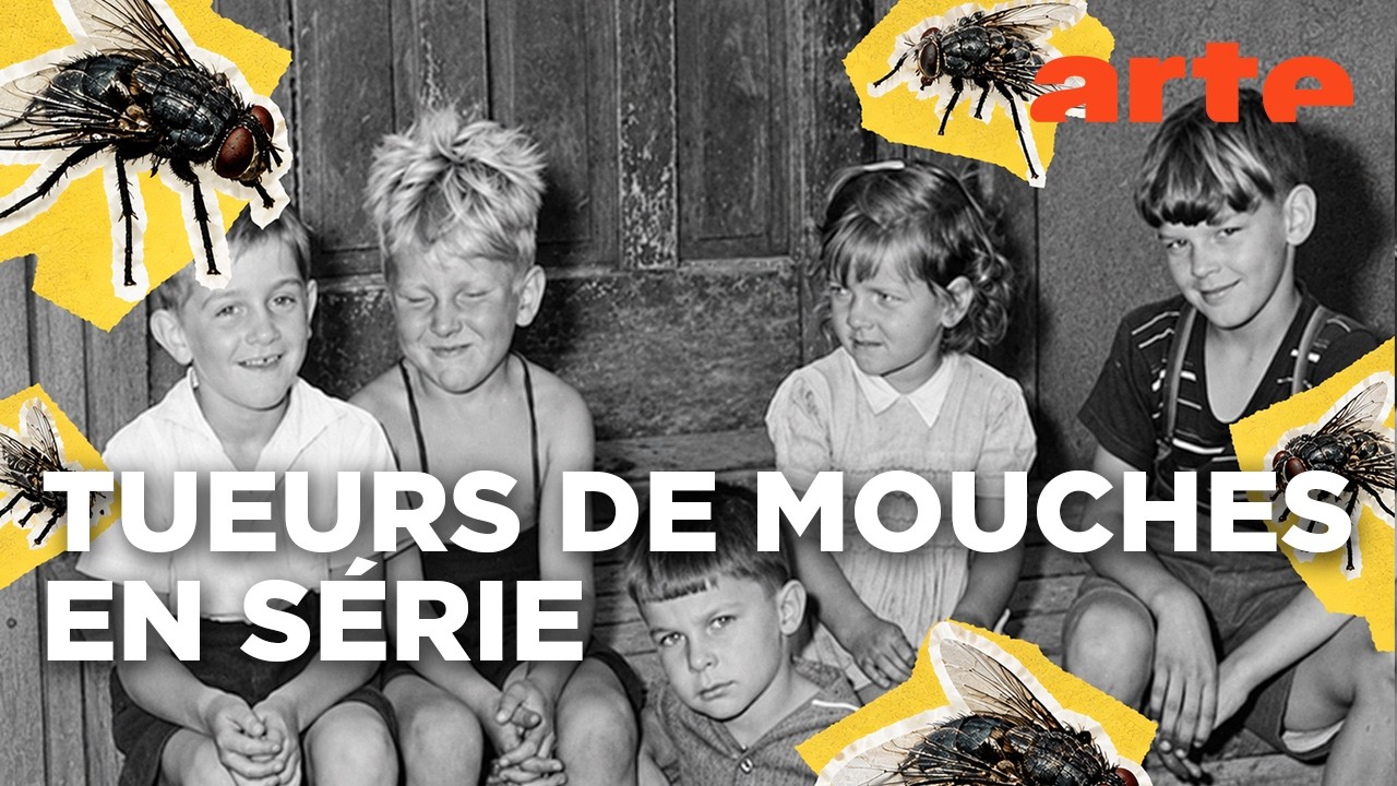Au Canada, faire la guerre aux mouches, c'est la santé ! | ARTE
