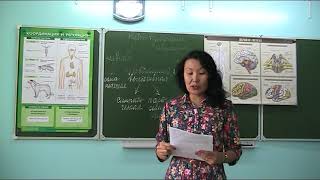 Нервно-гуморальная регуляция. Часть 1 Нервно-гуморальная регуляция. Часть 1