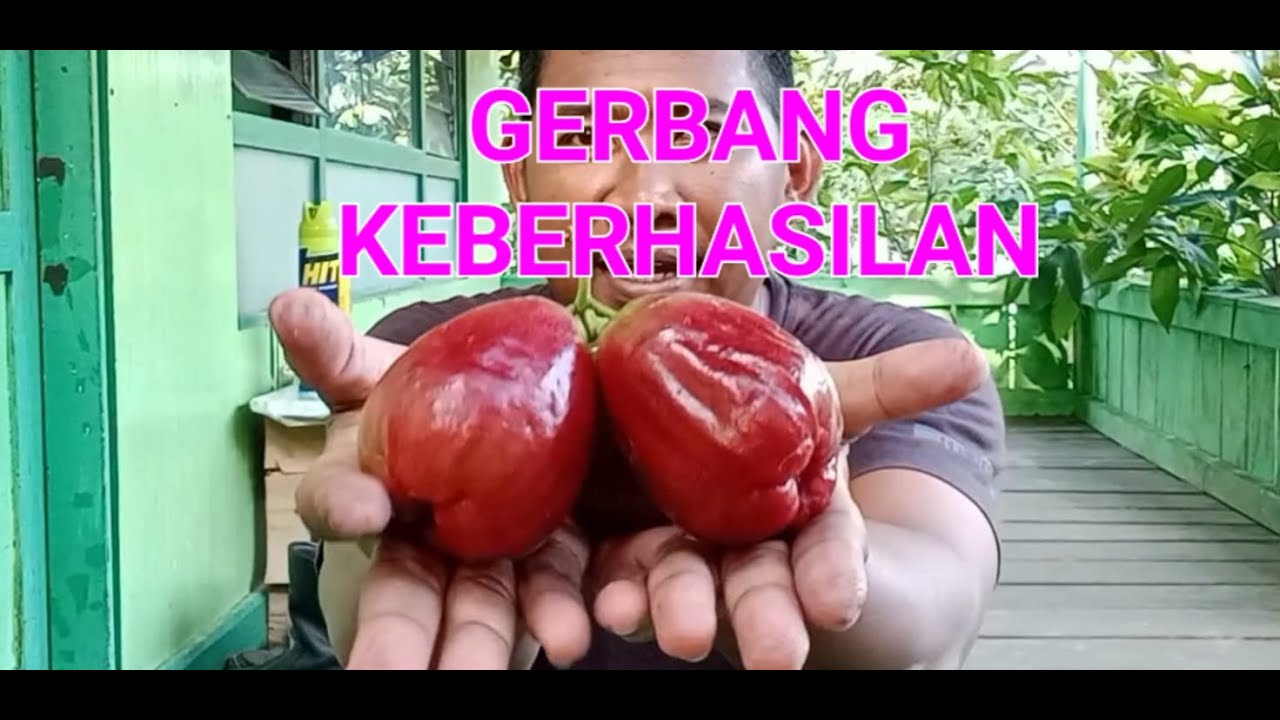 BERAWAL DARI BIJI YG AKAN MEMBUKA GERBANG KEBERHASILAN 🙏🙏🙏