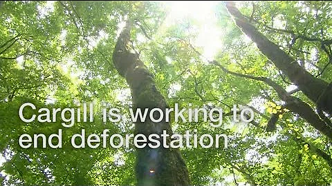 Preserving forests to nourish the world & protect the planet
