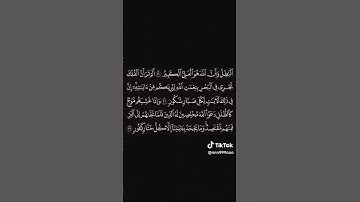 سوره لقمان #ابراهيم_محمد #explore #quran #اكسبلور #قرآن #ياسر_الدوسري #قران_كريم