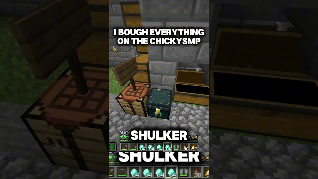 I Bought EVERYTHING on the ChickySMP!!