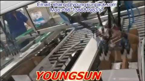 Delta Robot packer for pouches ,YOUNGSUN