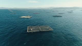 Bateas Formex en Galicia 2021