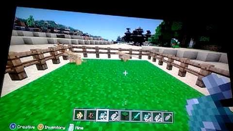How to tame ocelot in minecraft Xbox 360 edition