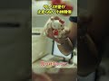 止まらないサンリオ愛😎