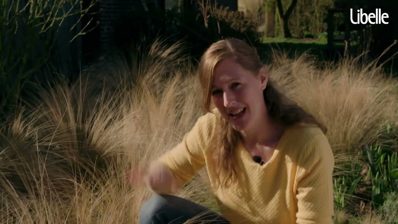 Je tuin slim aanleggen – stap 5: welke planten in je border?