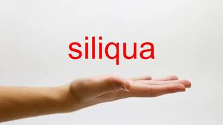 How to Pronounce siliqua - American English