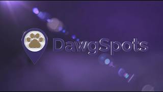 DawgSpots-UW INFO360-Team ETMS