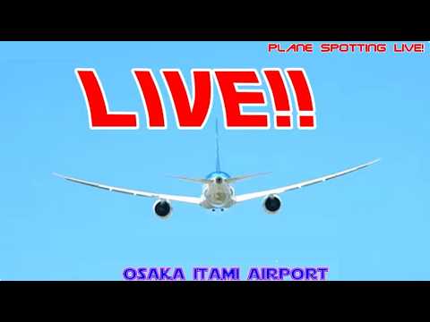 生中継！伊丹空港!!  Plane Spotting Itami Airport 02/05/2026