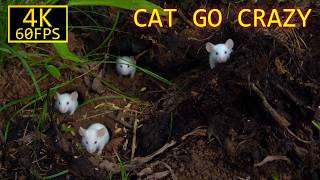 Cat TV: Sneaky Squeak Shadow Burrows! 🐭 3 Hours of Deep Earth Exploration | 4K 60FPS Game for Cats