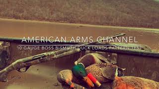 10 Gauge Duck Loads Pattern Test Using BOSS Bismuth (Hand Loads)