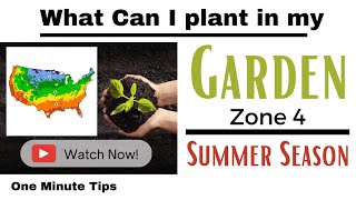 One Minute Tips - Garden - ZONE 4 -What can I Plant in my Garden for Summer Season!