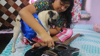 Pug playing Guitar| Dog playing guitar britain's got talent| Pug funny videos| Pug funny reaction