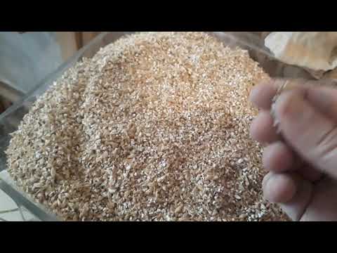 Evde Bira Yapımı; tam tahıl bira yapımı, yeni başlayanlar için çok ayrıntılı bira yapım videosu.