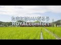 【歌詞】ROYALcomfort「たまにはいいだろう」