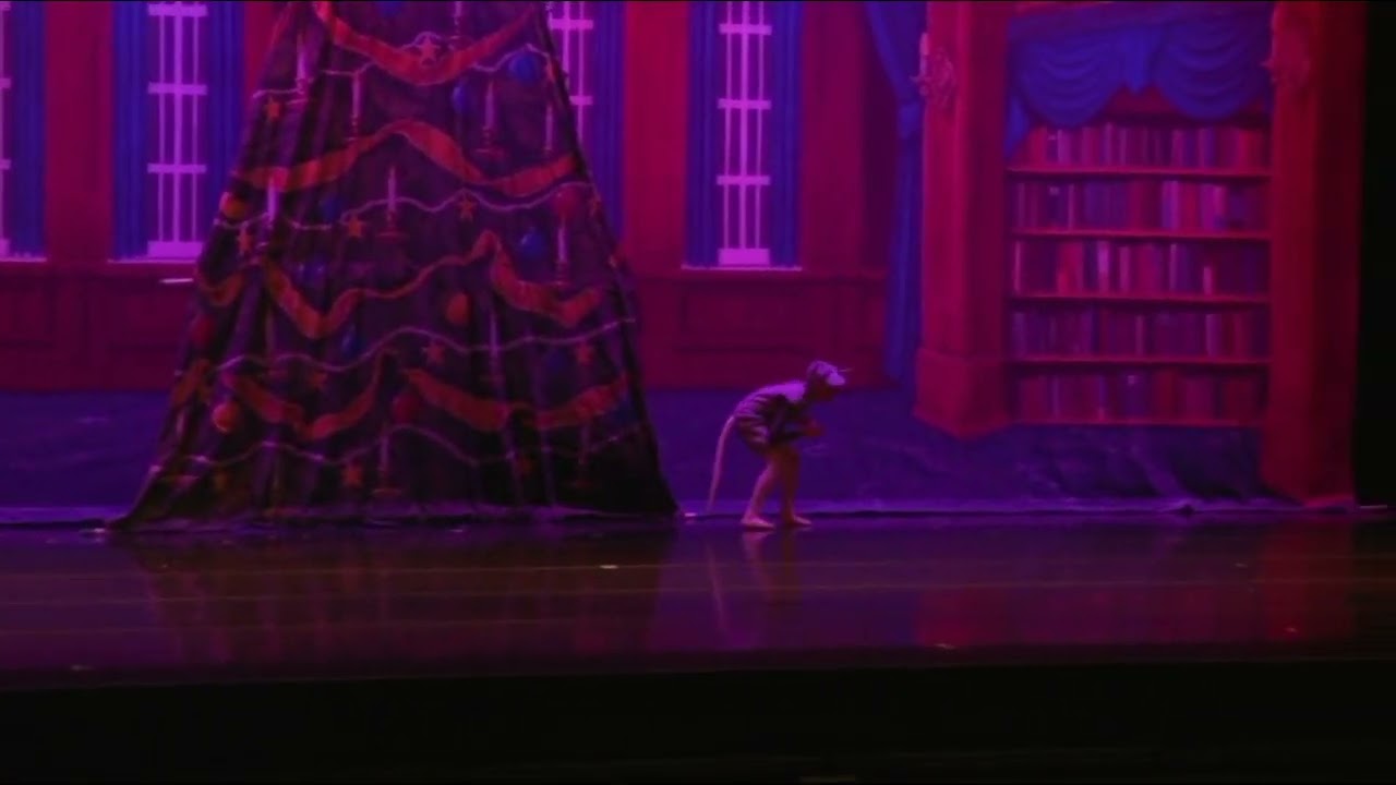 Battle Scene, The Columbus Ballet's The Nutcracker, 2021