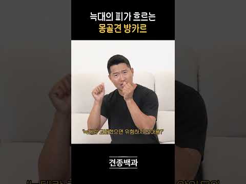 인간을 사랑한 늑대인거야 thumbnail