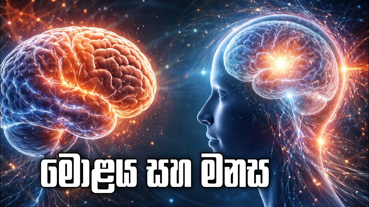 මොළය සහ මනස අතර සම්බන්ධය