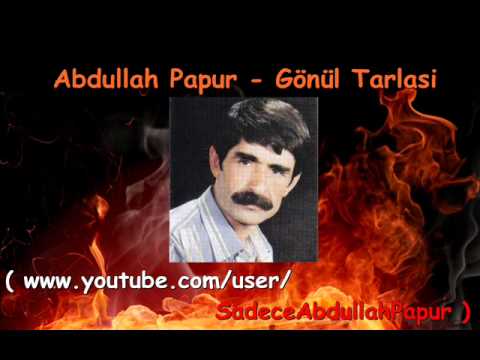 Abdullah Papur - Gönül Tarlasi