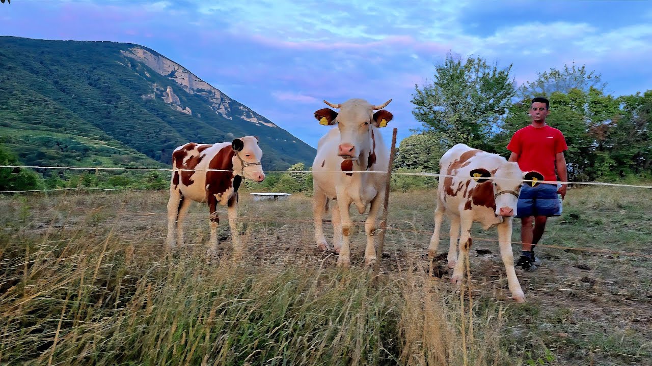 Kamičak, Bosnia | Walking the beautiful meadows #kamičak #sanskimost #ključ
