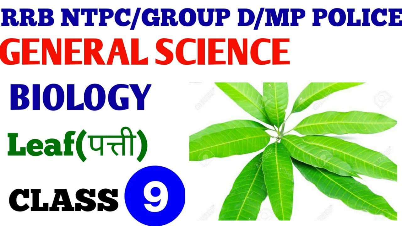 GENERAL SCIENCE BIOLOGY PLANT MORPHOLOGY(पादप अकारीकि GENERAL SCIENCE BIOLOGY PLANT MORPHOLOGY(पादप अकारीकि