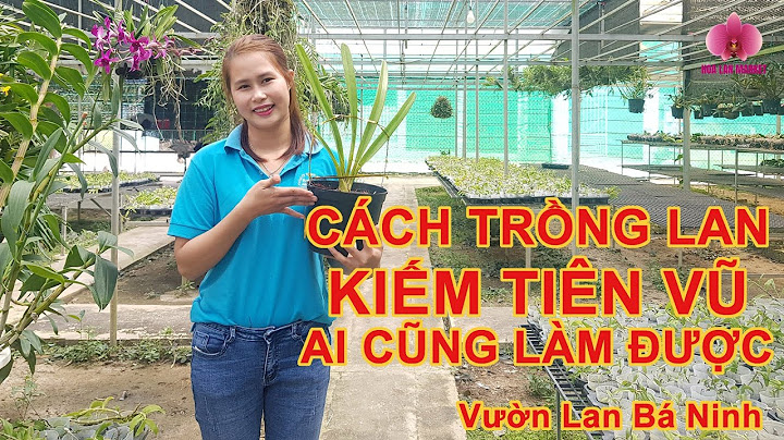 Hướng dẫn trồng lan kiếm tiên vũ