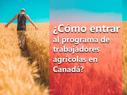 Así puedes formar parte del programa de trabajadores agrícolas en Canadá
