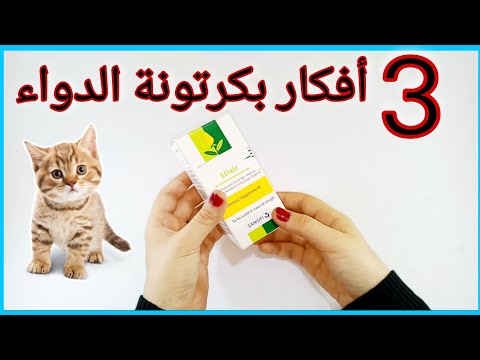 فيديو: DIY كرافت - علاج علب شخصية