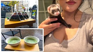 Spend The Day With Me | Saarbrucken Vlog by Yocelin sheller 151 views 6 months ago 8 minutes, 15 seconds