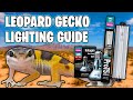 Ultimate Guide to Leopard Gecko Lighting: Setting Up Lights, Selecting Bulbs, and Temperature Regulation