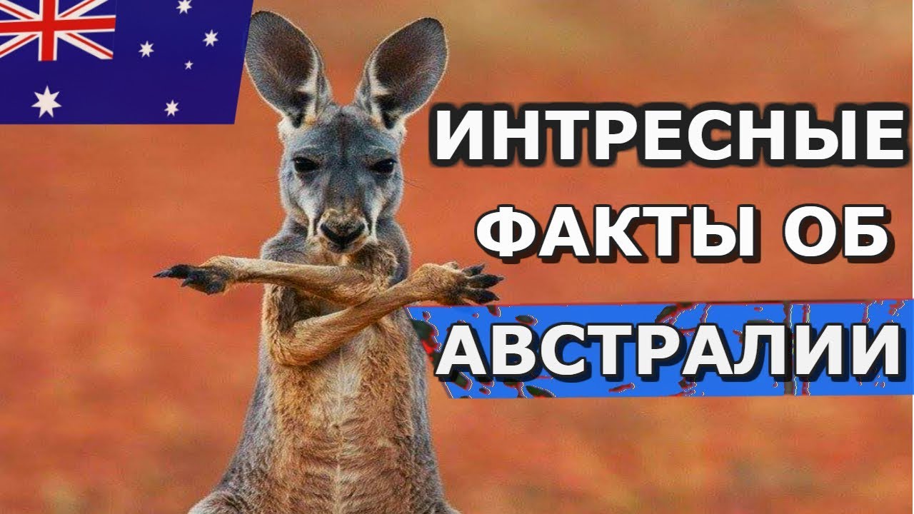 Факты об австралии Факты об австралии