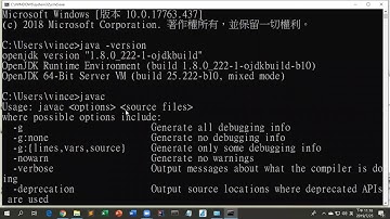 JavaSE 8 (OpenJDK) 與 Netbeans8.2 安裝 (Windows)