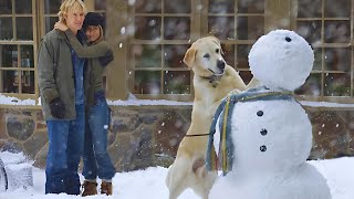 Couple Adopted a Dog Instead of Child, But💥🤯⁉️⚠️ | Dog Movie Explained in Hindi