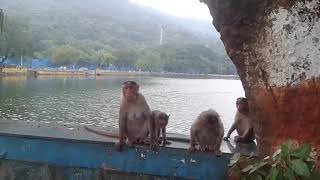 Beautiful Picknic Point Upvan Lake In Thane City