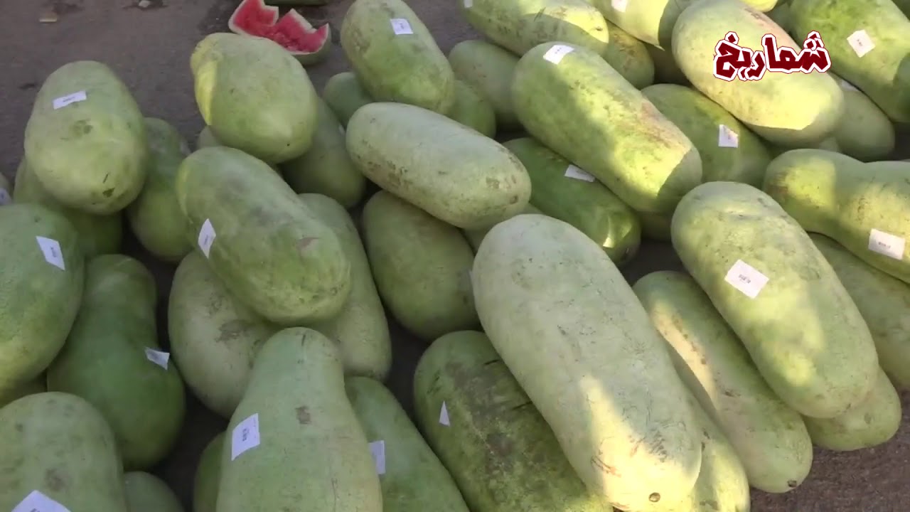 سوق الخضار بعنيزة يوم الخميس 21 / 10 /  1439هـ