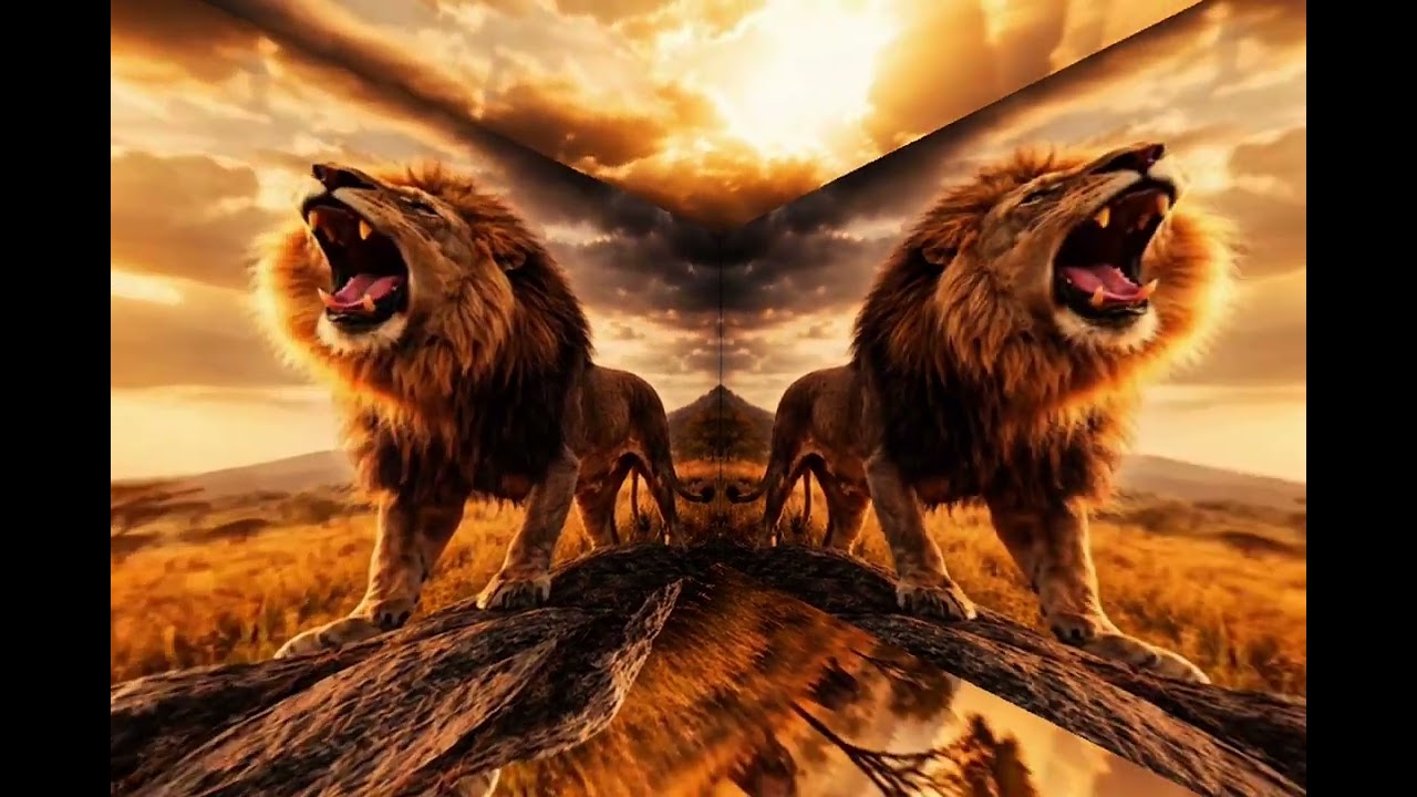 Dark Violin & Deep Bass | Night Drive Music 🎻🔥