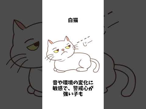 毛色で性格がわかる！？猫の“色”の不思議 #雑学 #プチ知識 #猫のいる暮らし #猫のいる生活