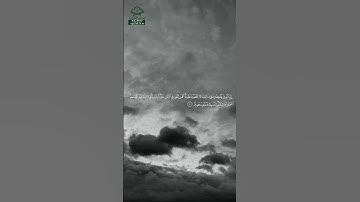 سورة فصلت • مكية • بصوت أبو بكر الشاطري | عدد الآيات: 54 #قرآن #Quran #تلاوة #قرآن_كريم #فصلت