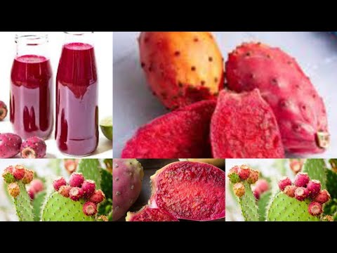 Siri Iliyojificha Ktk Juisi Ya Matunda Ya Cactus Mwilini