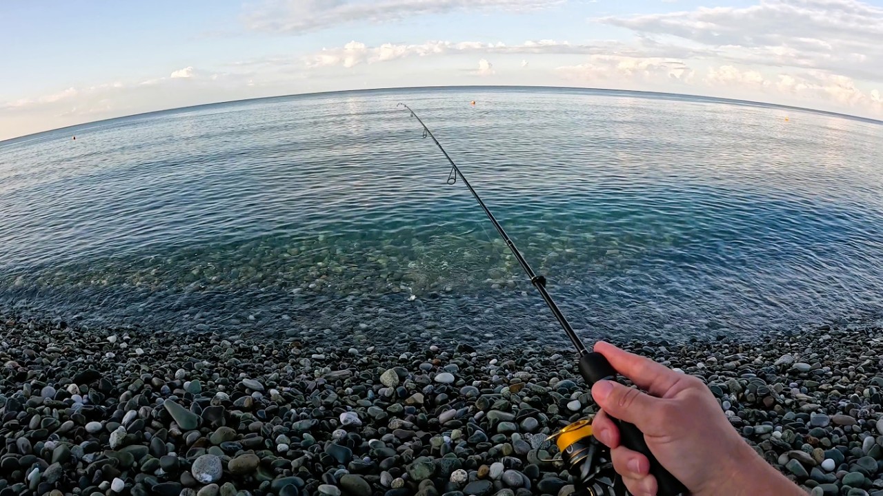 Морская рыбалка на рассвете. Разнорыбица.