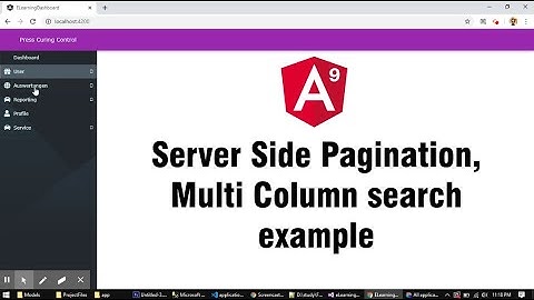 Angular 9 :  Server Side Pagination, Multi Column search example