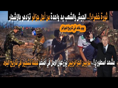 الجزائر الخضراء تنتفض أضخم حملة تشجير منذ الاستقلال بمشاركة الجيش وملايين المتطوعين