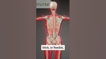 Thumbnail of How to know if your hymen has broken