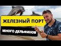 Железный Порт 2021. ПОЛНЫЙ ПЛЯЖ ДЕЛЬФИНОВ. Отдых Море Пляж Жилье